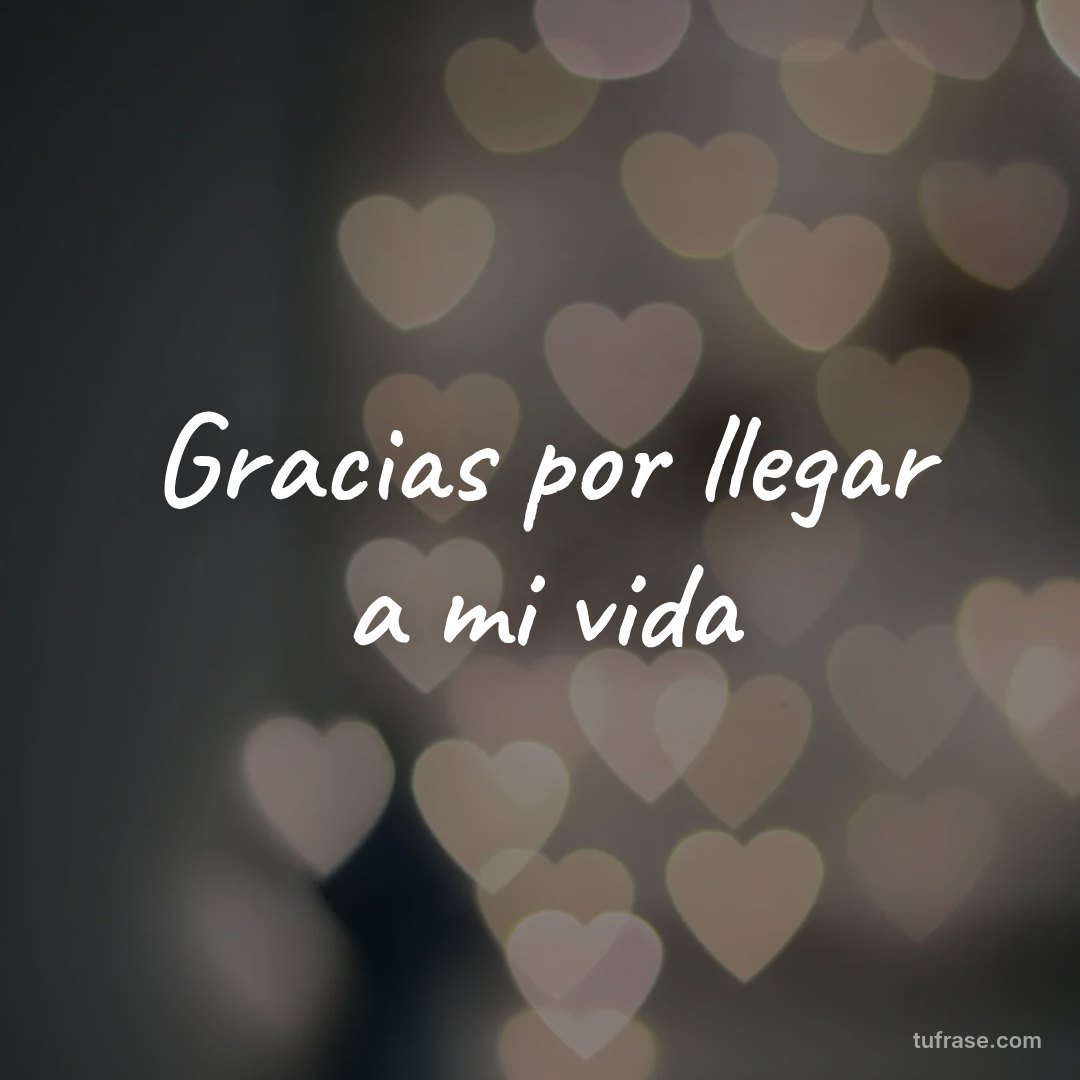 Gracias por llegar a mi vida
