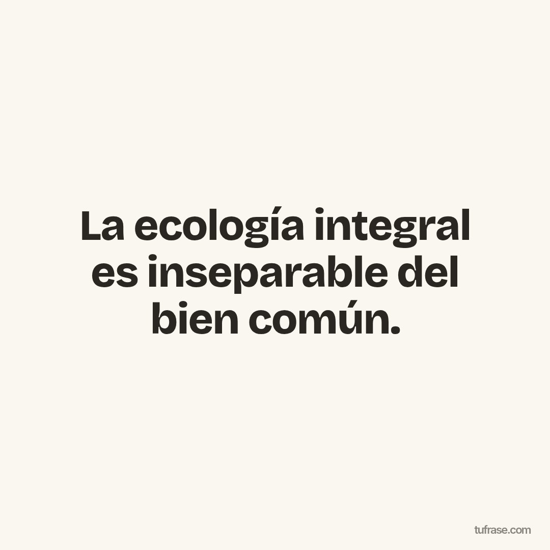 La ecología integral es inseparable del bien común.
