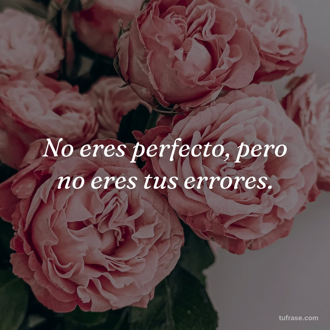 No eres perfecto, pero no eres tus errores.