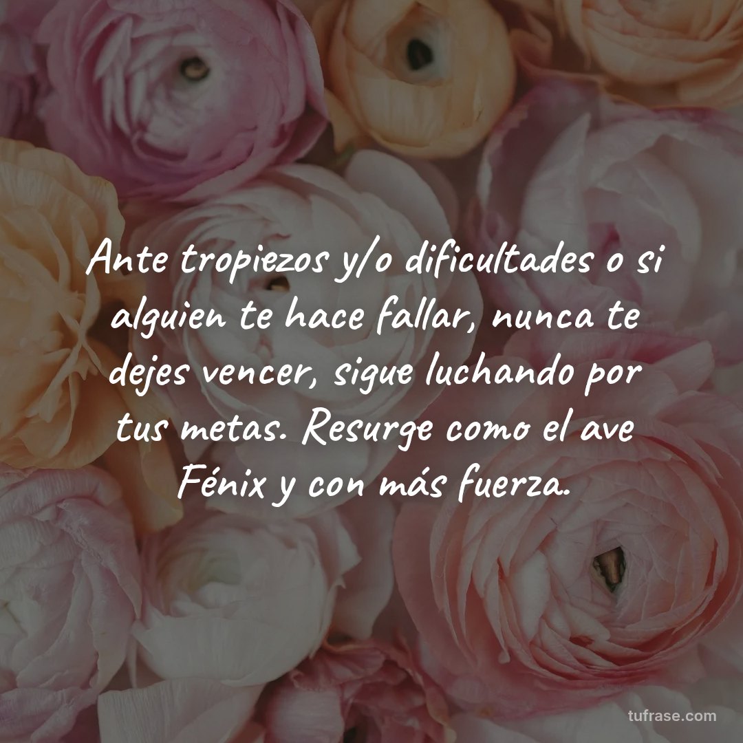 Ante tropiezos y/o dificultades o si alguien te hace fallar, nunca te dejes vencer, sigue luchando por tus metas. Resurge como el ave Fénix y con más fuerza.