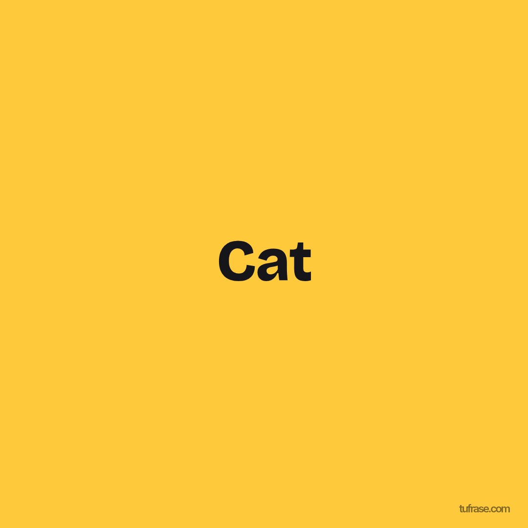 Cat