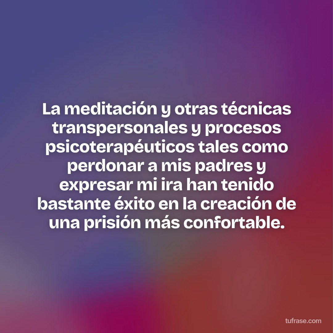 La meditación y otras técnicas transpersonales y procesos psicoterapéuticos tales como perdonar a mis padres y expresar mi ira han tenido bastante éxito en la creación de una prisión más confortable.