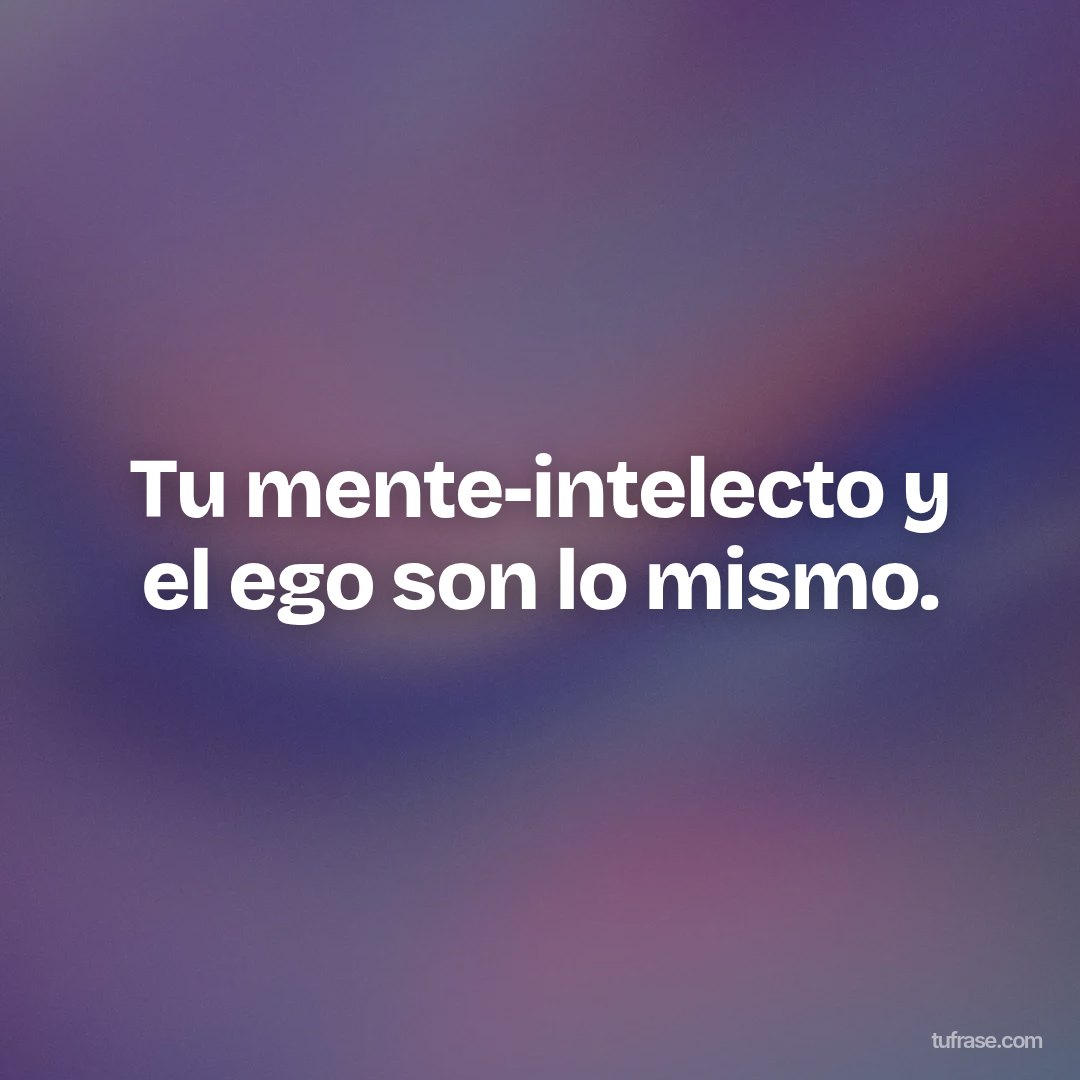 Tu mente-intelecto y el ego son lo mismo.