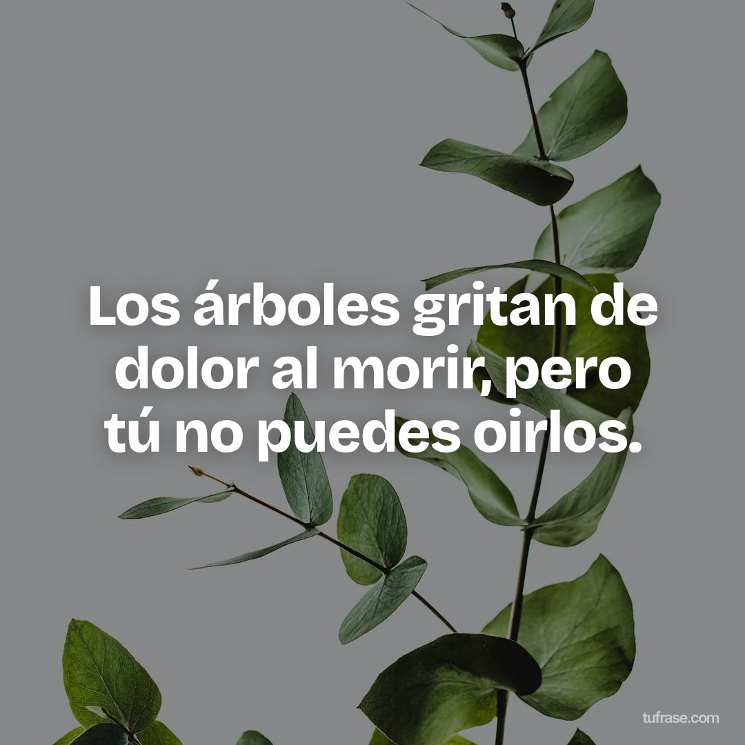 Los árboles gritan de dolor al morir, pero tú no puedes oirlos.