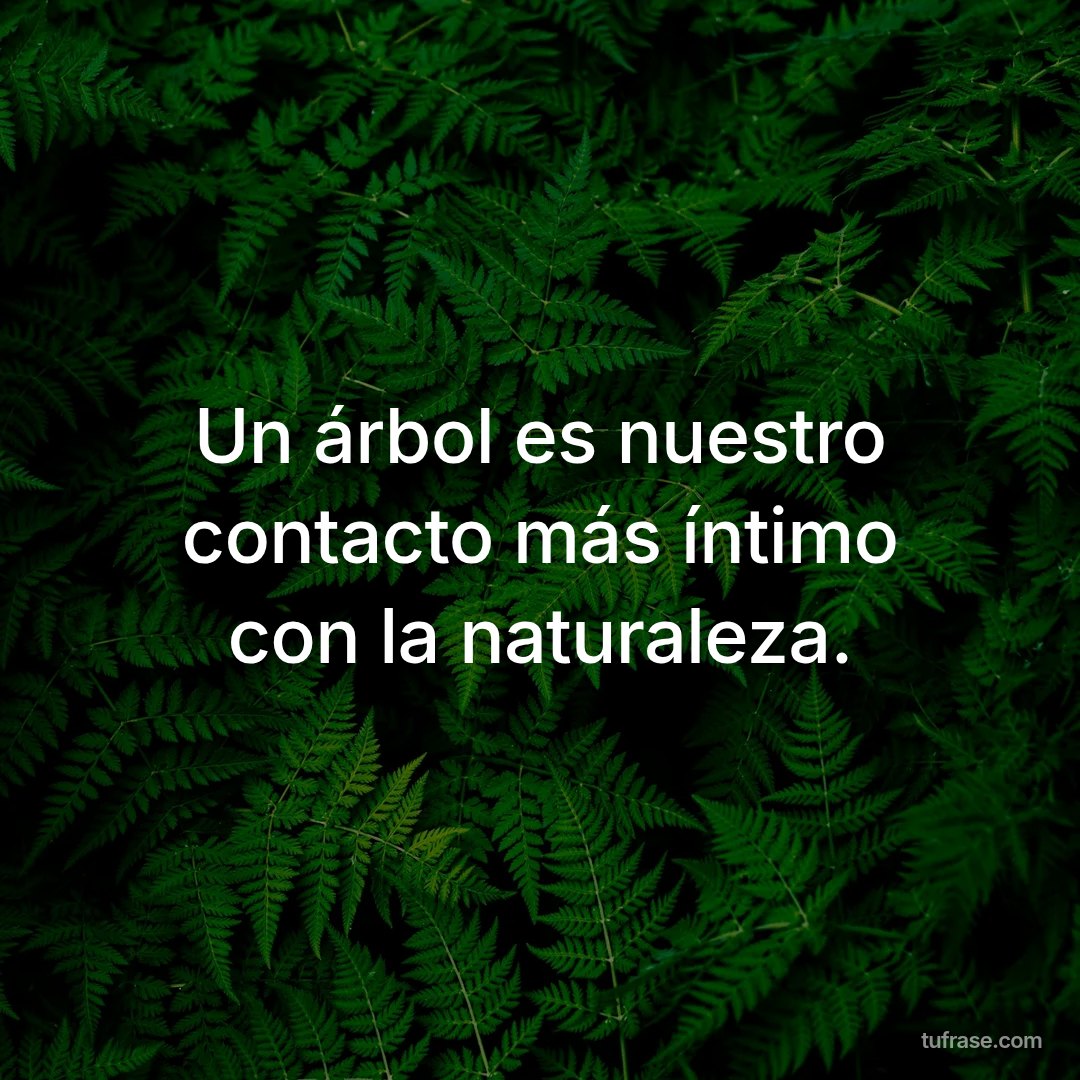 Un árbol es nuestro contacto más íntimo con la naturaleza.