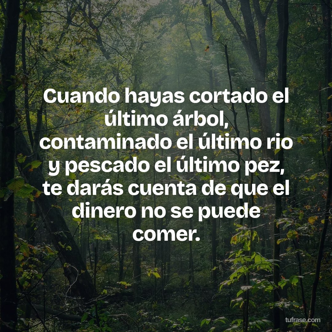 Cuando hayas cortado el último árbol, contaminado el último rio y pescado el último pez, te darás cuenta de que el dinero no se puede comer.