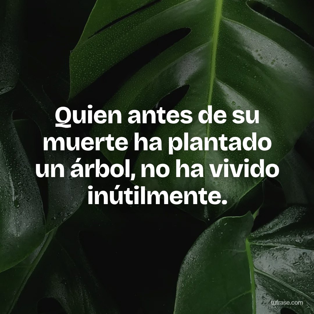 Quien antes de su muerte ha plantado un árbol, no ha vivido inútilmente.