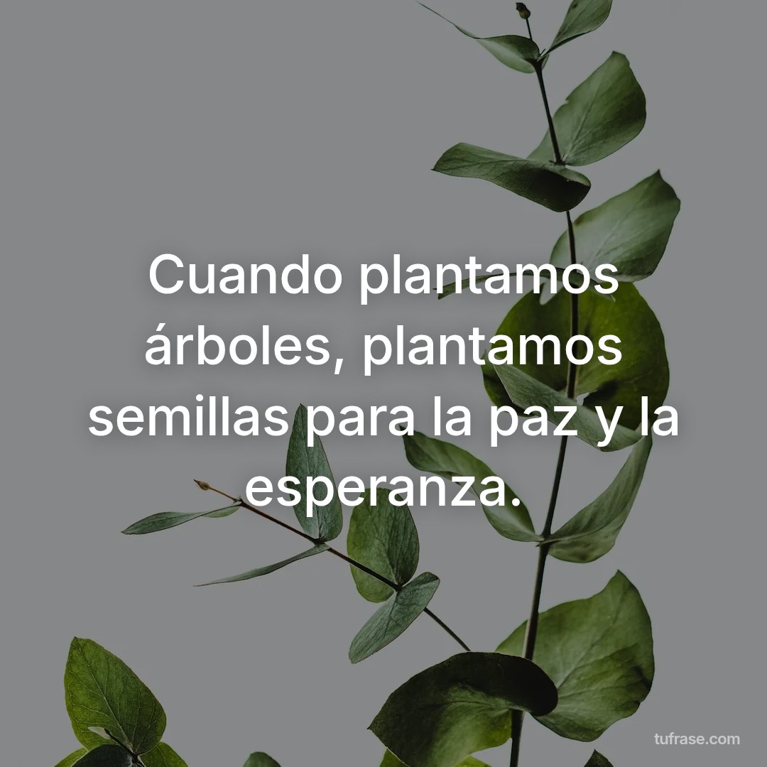 Cuando plantamos árboles, plantamos semillas para la paz y la esperanza.