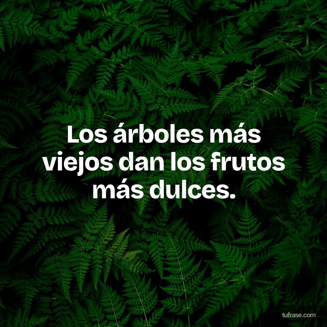 Los árboles más viejos dan los frutos más dulces.