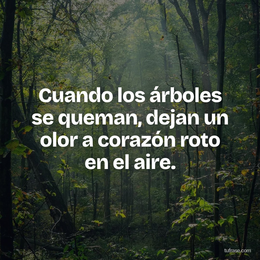 Cuando los árboles se queman, dejan un olor a corazón roto en el aire.