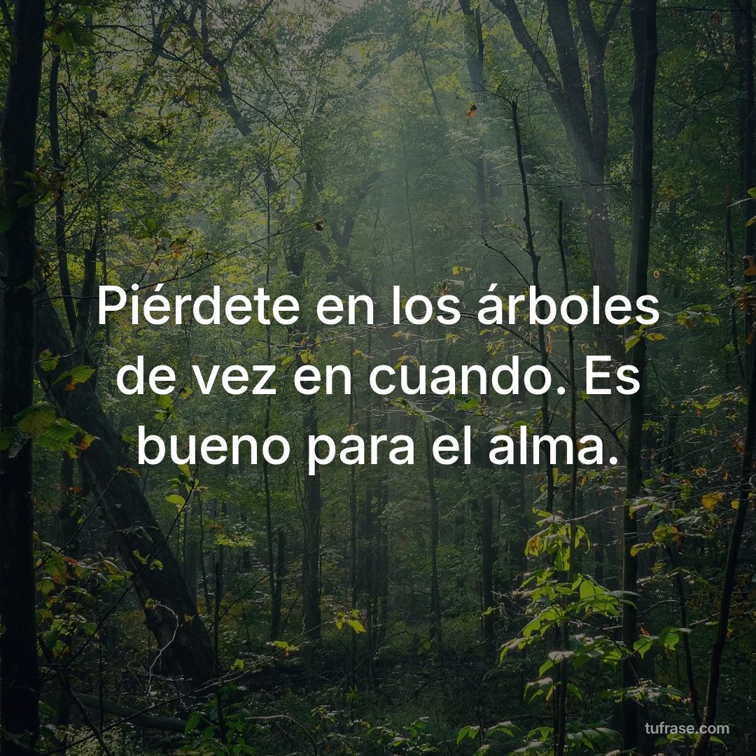 Piérdete en los árboles de vez en cuando. Es bueno para el alma.