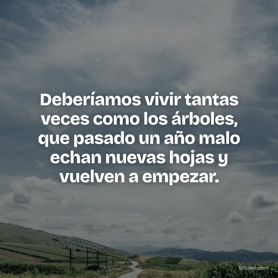 Deberíamos vivir tantas veces como los árboles, que pasado un año malo echan nuevas hojas y vuelven a empezar.