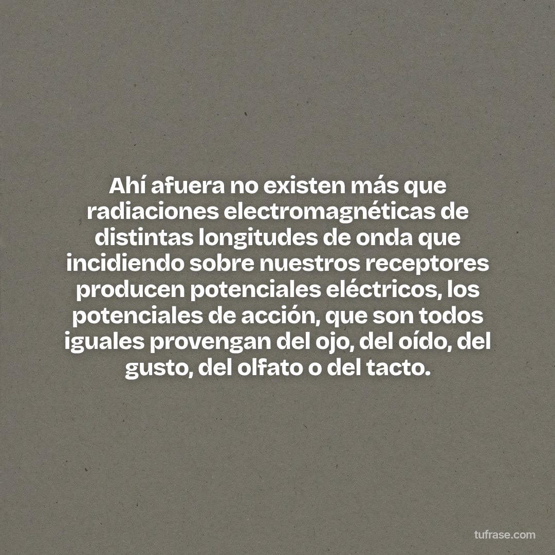 Ahí afuera no existen más que radiaciones electromagnéticas de distintas longitudes de onda que incidiendo sobre nuestros receptores producen potenciales eléctricos, los potenciales de acción, que son todos iguales provengan del ojo, del oído, del gusto, del olfato o del tacto.