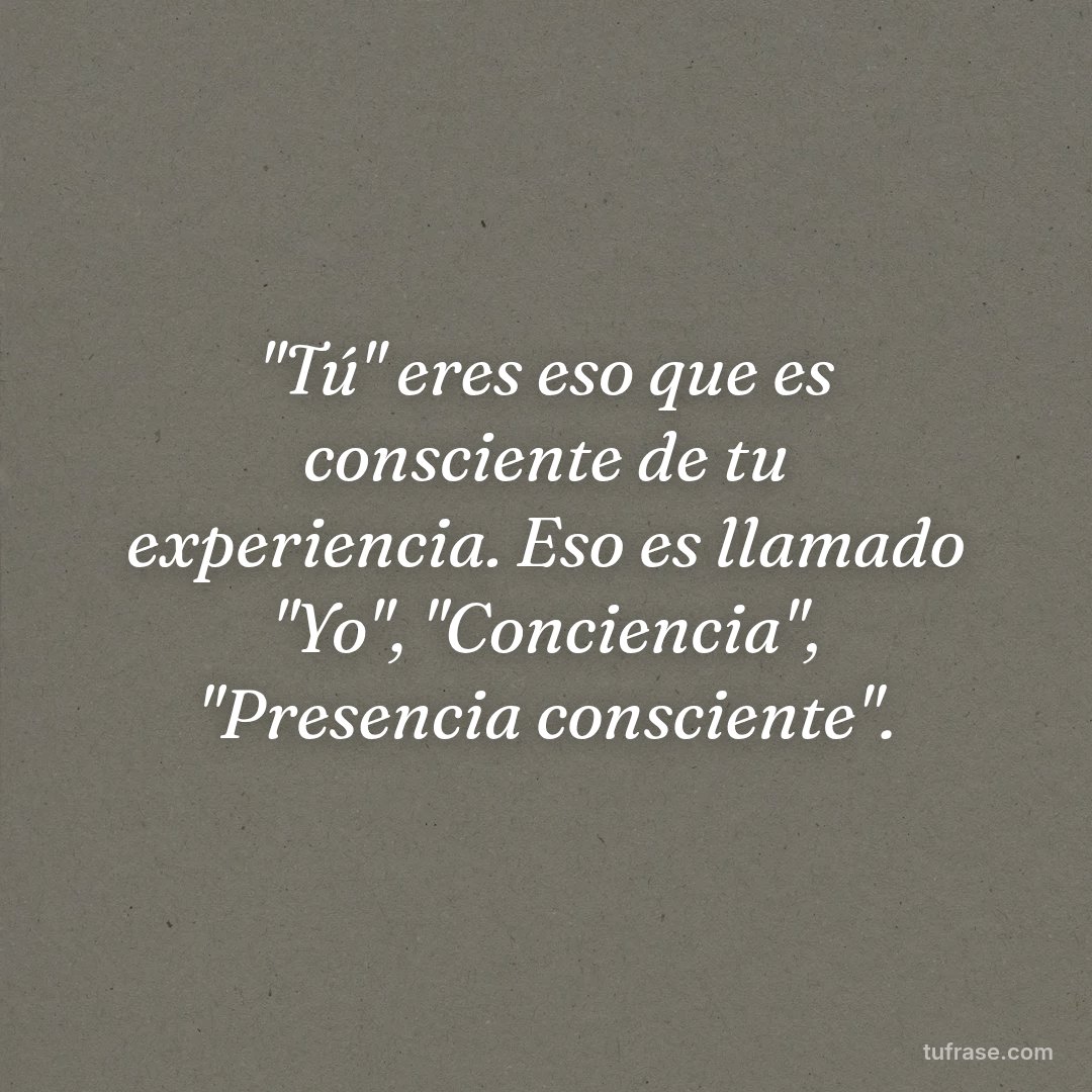 "Tú" eres eso que es consciente de tu experiencia. Eso es llamado "Yo", "Conciencia", "Presencia consciente".