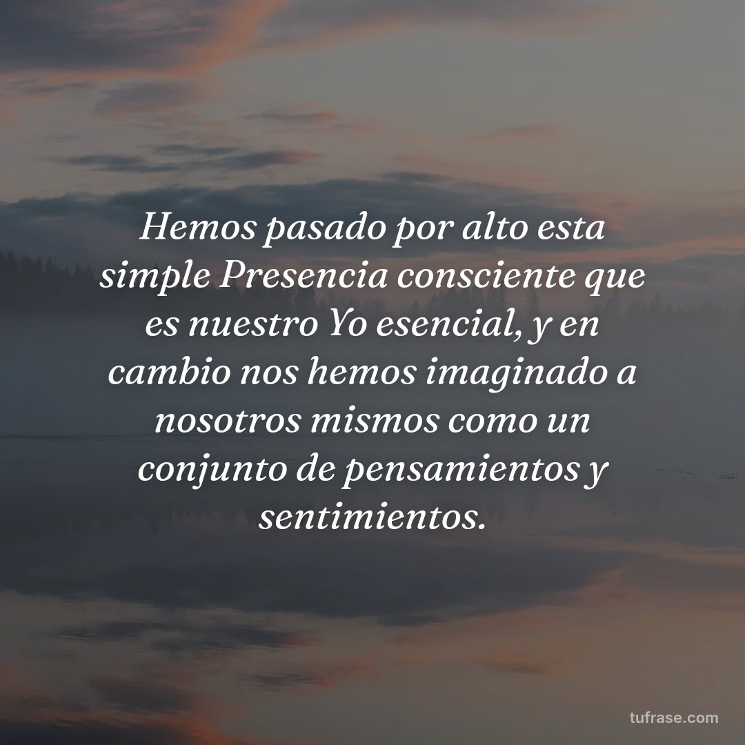 Hemos pasado por alto esta simple Presencia consciente que es nuestro Yo esencial, y en cambio nos hemos imaginado a nosotros mismos como un conjunto de pensamientos y sentimientos.