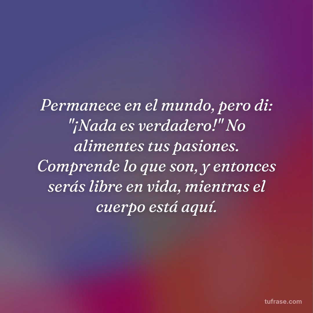 Permanece en el mundo, pero di: "¡Nada es verdadero!" No alimentes tus pasiones. Comprende lo que son, y entonces serás libre en vida, mientras el cuerpo está aquí.