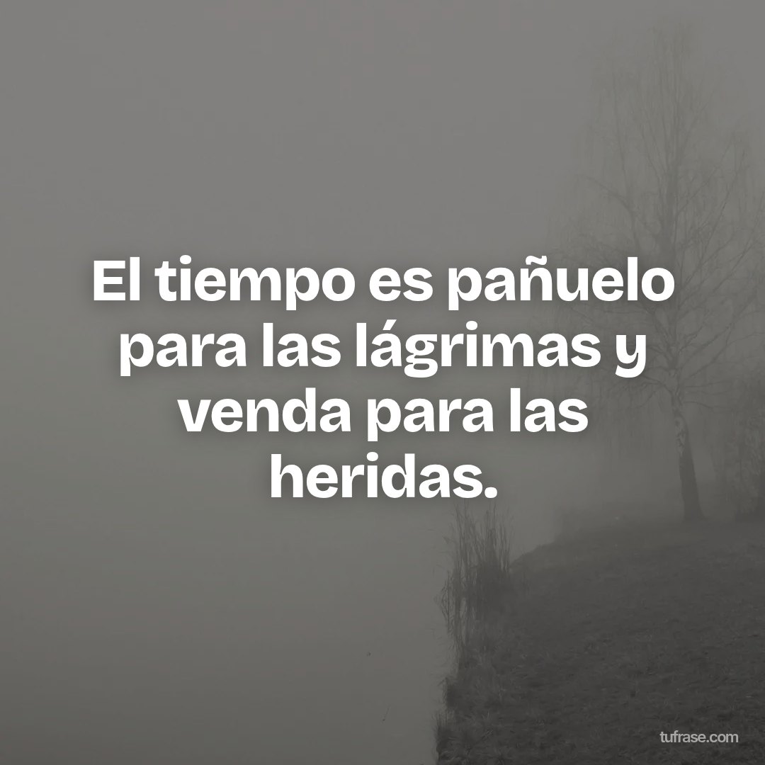 El tiempo es pañuelo para las lágrimas y venda para las heridas.