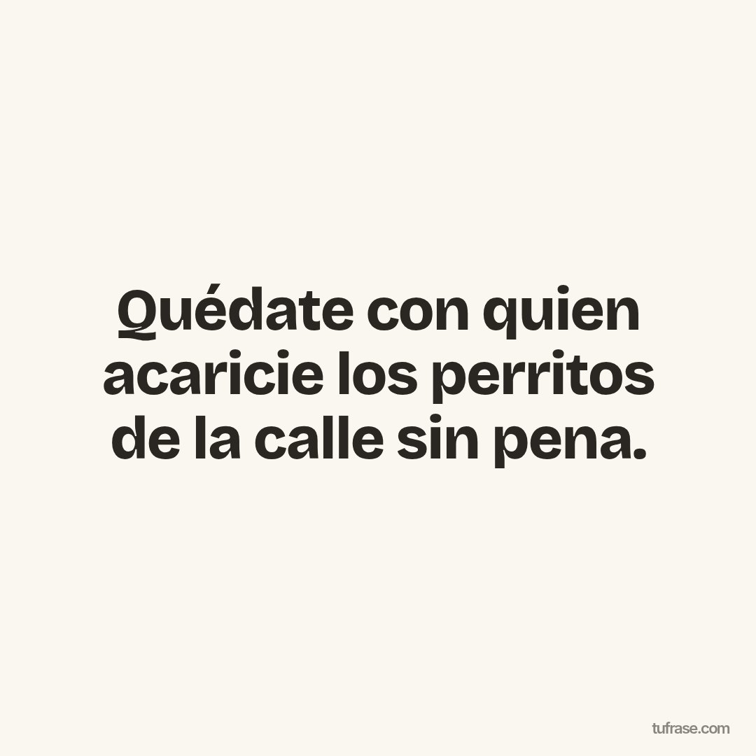 Quédate con quien acaricie los perritos de la calle sin pena.