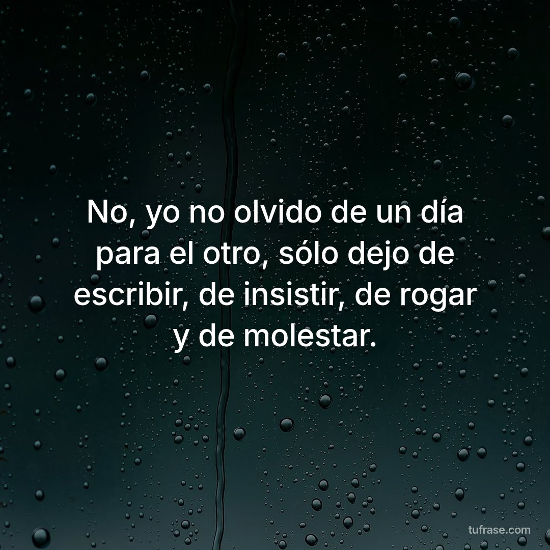 No, yo no olvido de un día para el otro, sólo dejo de escribir, de insistir, de rogar y de molestar.