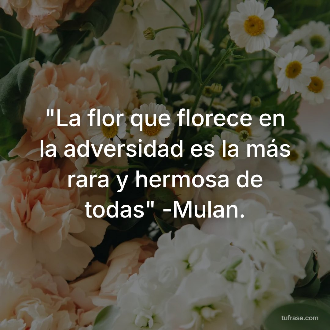 "La flor que florece en la adversidad es la más rara y hermosa de todas" -Mulan.