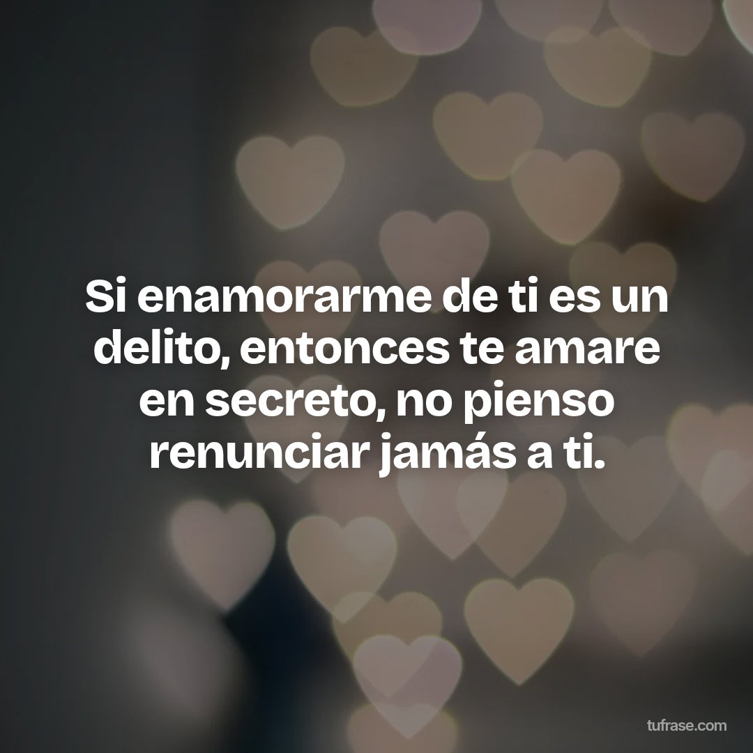 Si enamorarme de ti es un delito, entonces te amare en secreto, no pienso renunciar jamás a ti.