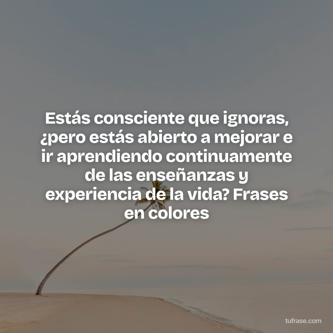 Estás consciente que ignoras, ¿pero estás abierto a mejorar e ir aprendiendo continuamente de las enseñanzas y experiencia de la vida? Frases en colores