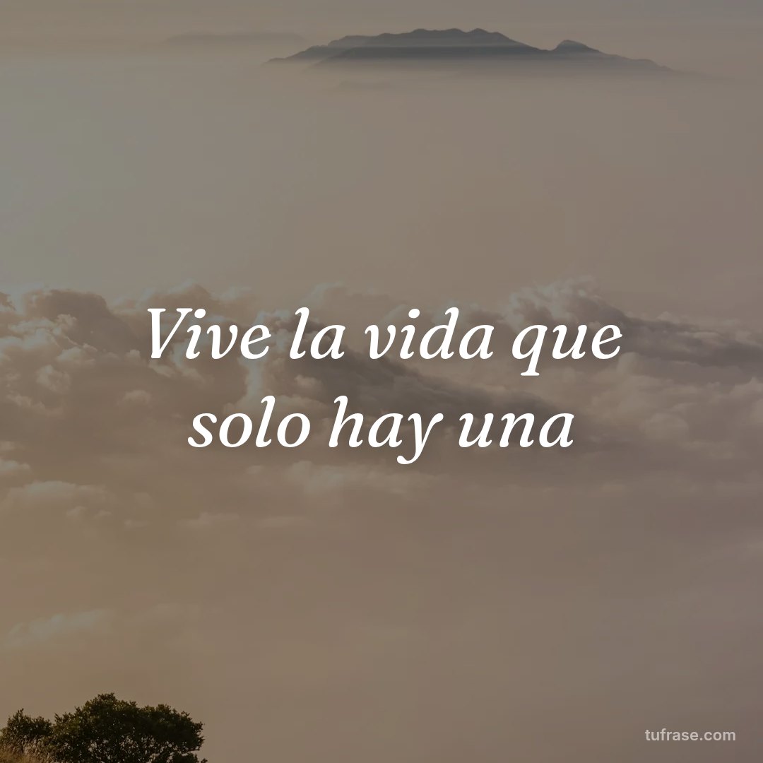 Vive la vida que solo hay una