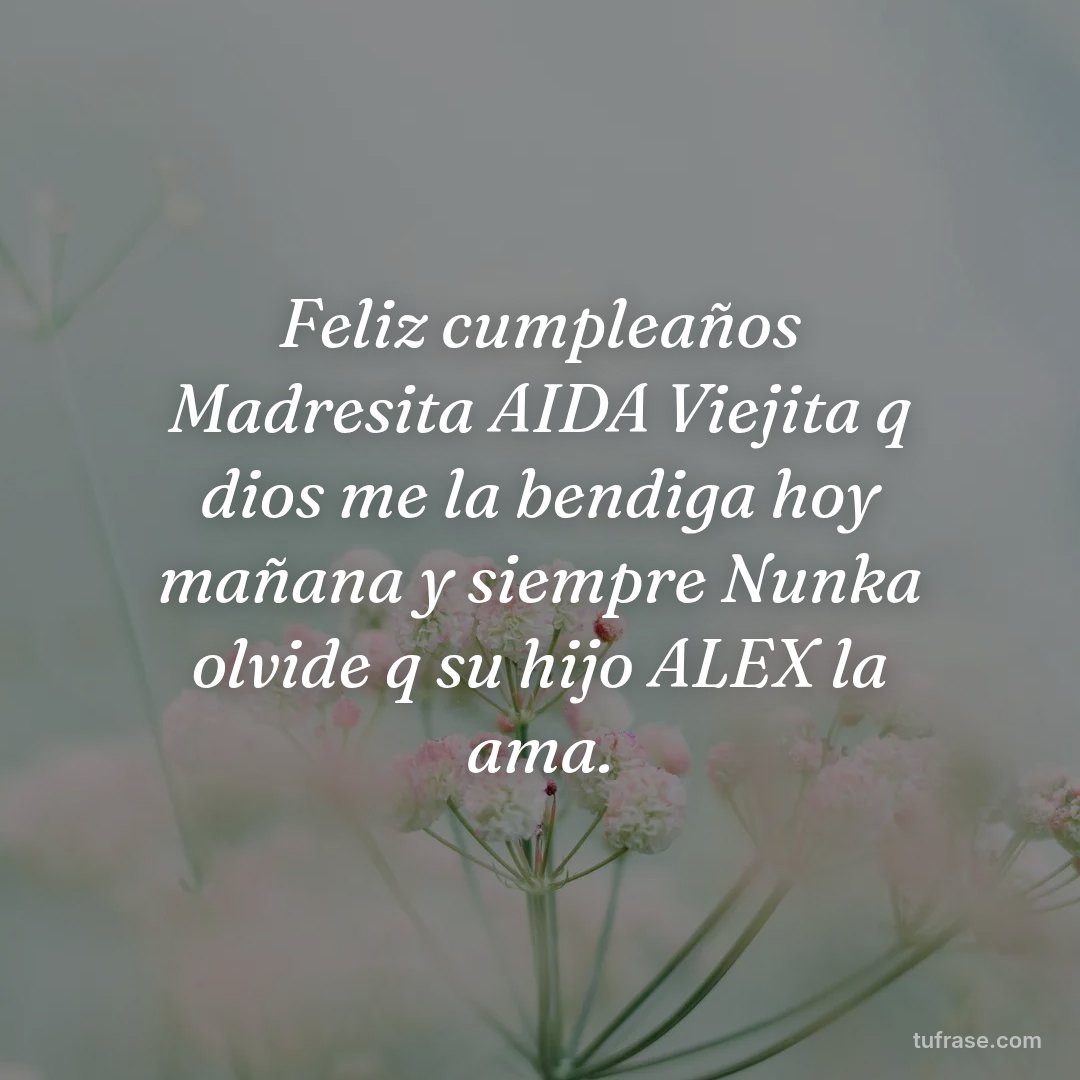 Feliz cumpleaños Madresita AIDA Viejita q dios me la bendiga hoy mañana y siempre Nunka olvide q su hijo ALEX la ama.