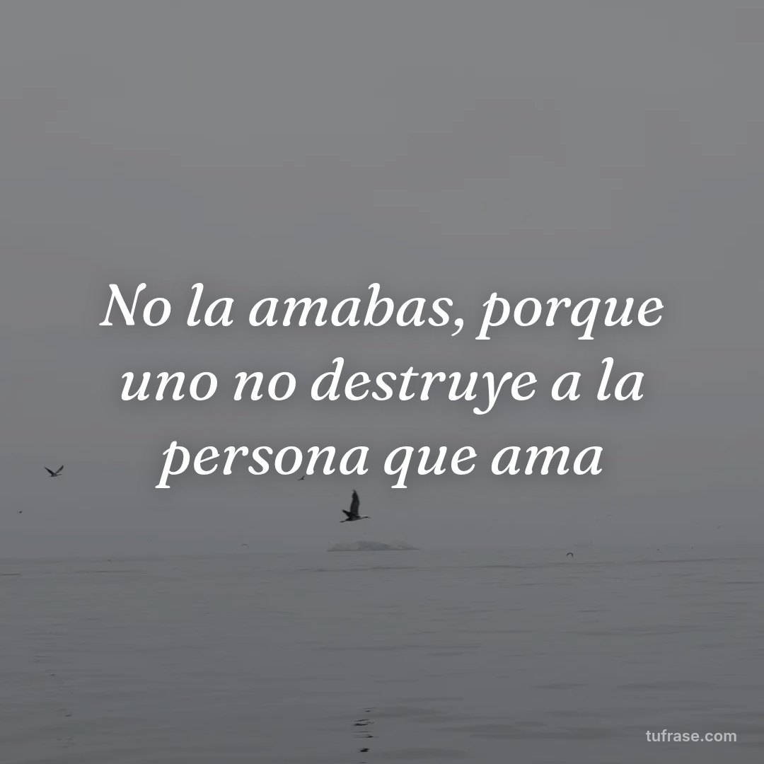 No la amabas, porque uno no destruye a la persona que ama