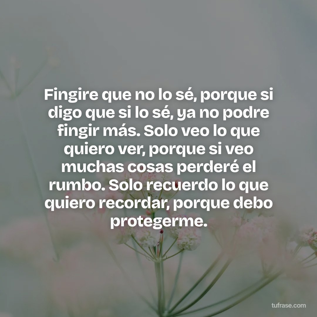 Fingire que no lo sé, porque si digo que si lo sé, ya no podre fingir más. Solo veo lo que quiero ver, porque si veo muchas cosas perderé el rumbo. Solo recuerdo lo que quiero recordar, porque debo protegerme.