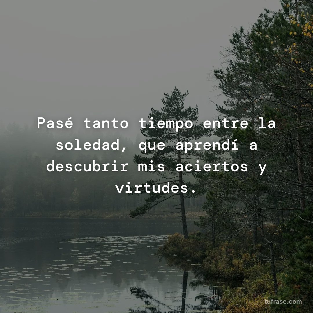 Pasé tanto tiempo entre la soledad, que aprendí a descubrir mis aciertos y virtudes.