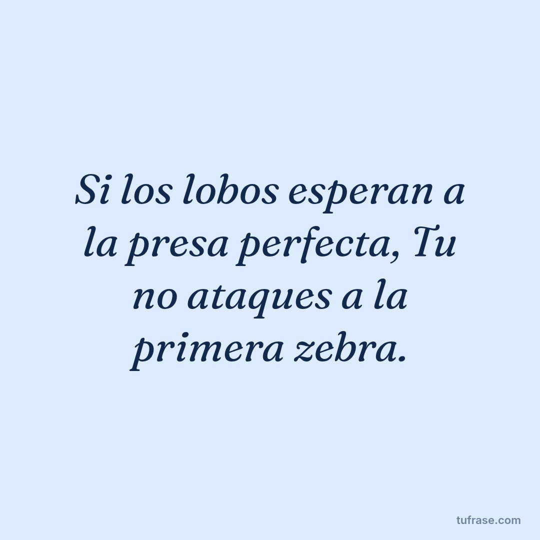 Si los lobos esperan a la presa perfecta, Tu no ataques a la primera zebra.
