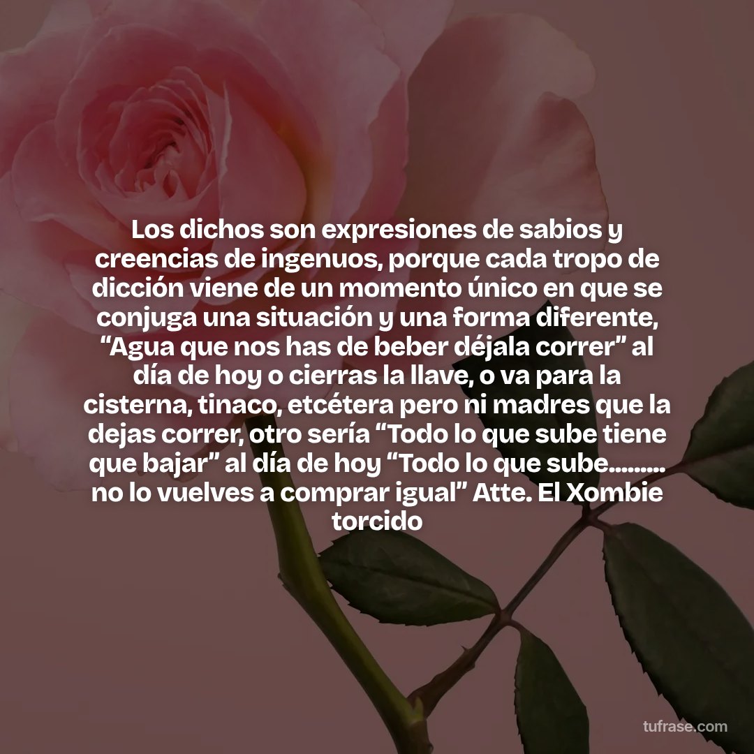Los dichos son expresiones de sabios y creencias de ingenuos, porque cada tropo de dicción viene de un momento único en que se conjuga una situación y una forma diferente, “Agua que nos has de beber déjala correr” al día de hoy o cierras la llave, o va para la cisterna, tinaco, etcétera pero ni madres que la dejas correr, otro sería “Todo lo que sube tiene que bajar” al día de hoy “Todo lo que sube......... no lo vuelves a comprar igual” Atte. El Xombie torcido