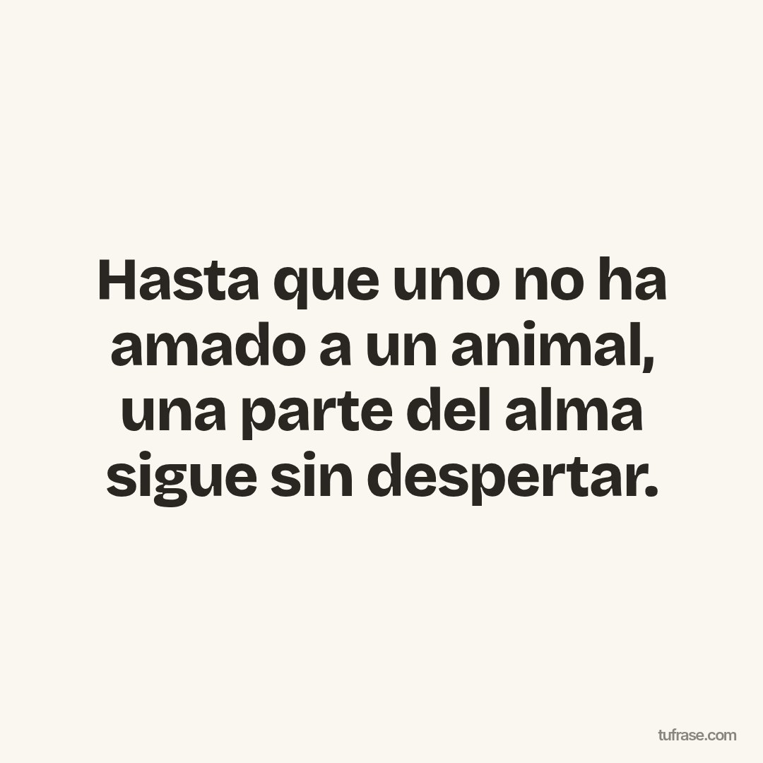 Hasta que uno no ha amado a un animal, una parte del alma sigue sin despertar.