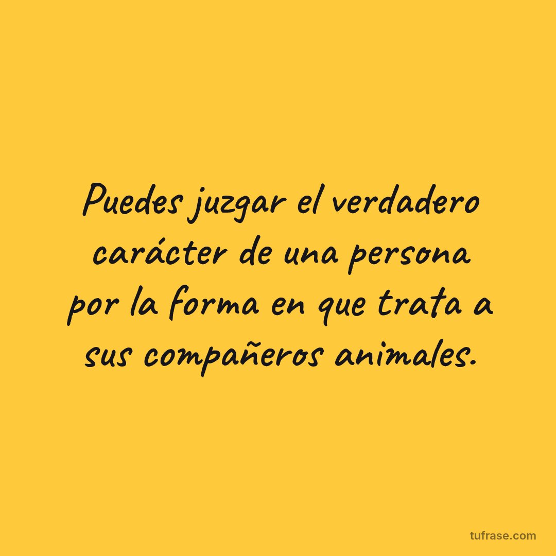 Puedes juzgar el verdadero carácter de una persona por la forma en que trata a sus compañeros animales.