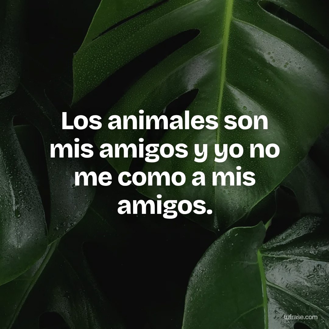 Los animales son mis amigos y yo no me como a mis amigos.