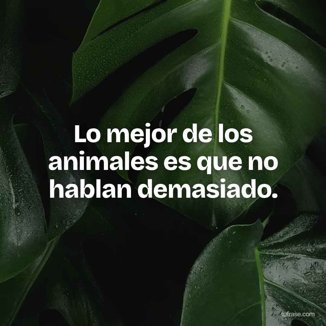 Lo mejor de los animales es que no hablan demasiado.