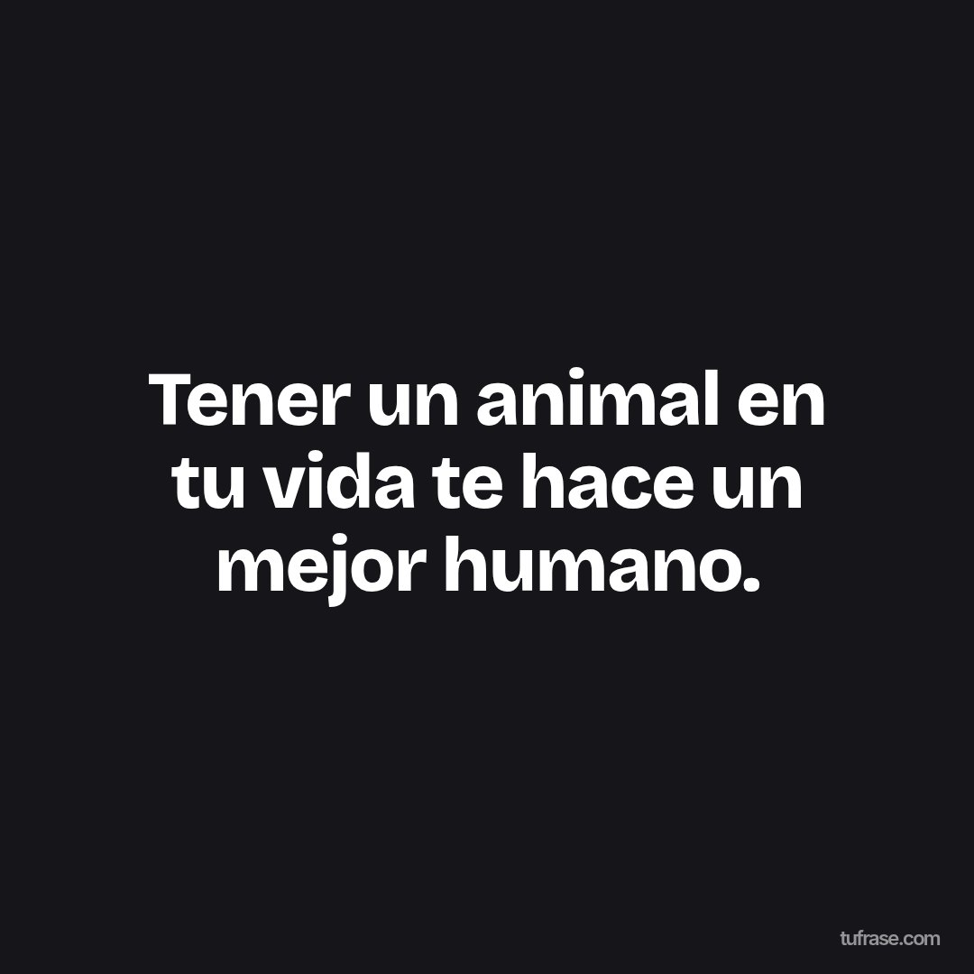 Tener un animal en tu vida te hace un mejor humano.