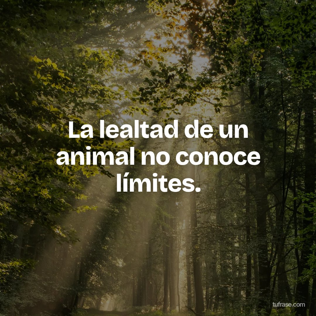 La lealtad de un animal no conoce límites.