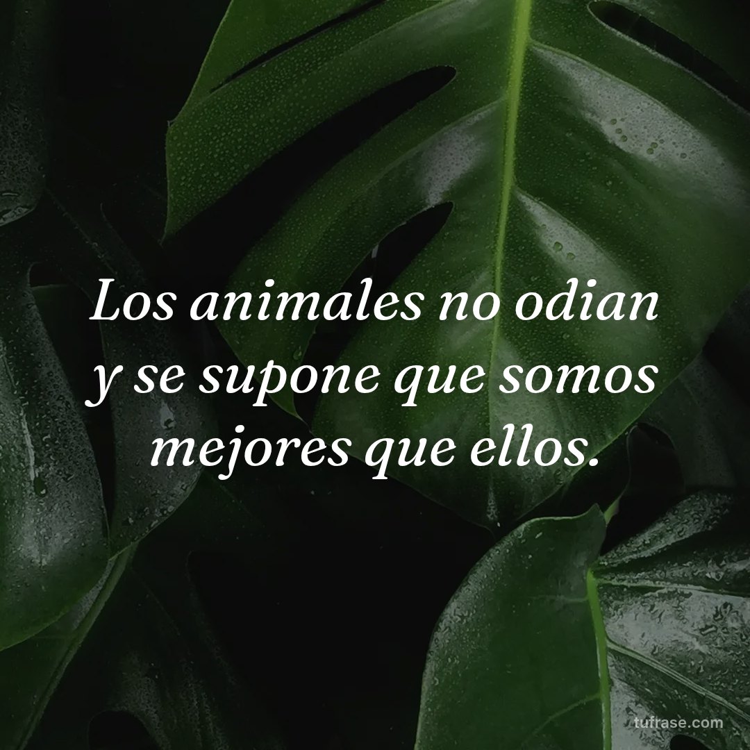 Los animales no odian y se supone que somos mejores que ellos.