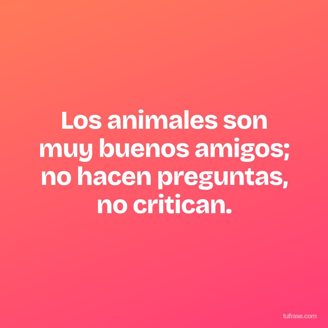 Los animales son muy buenos amigos; no hacen preguntas, no critican.