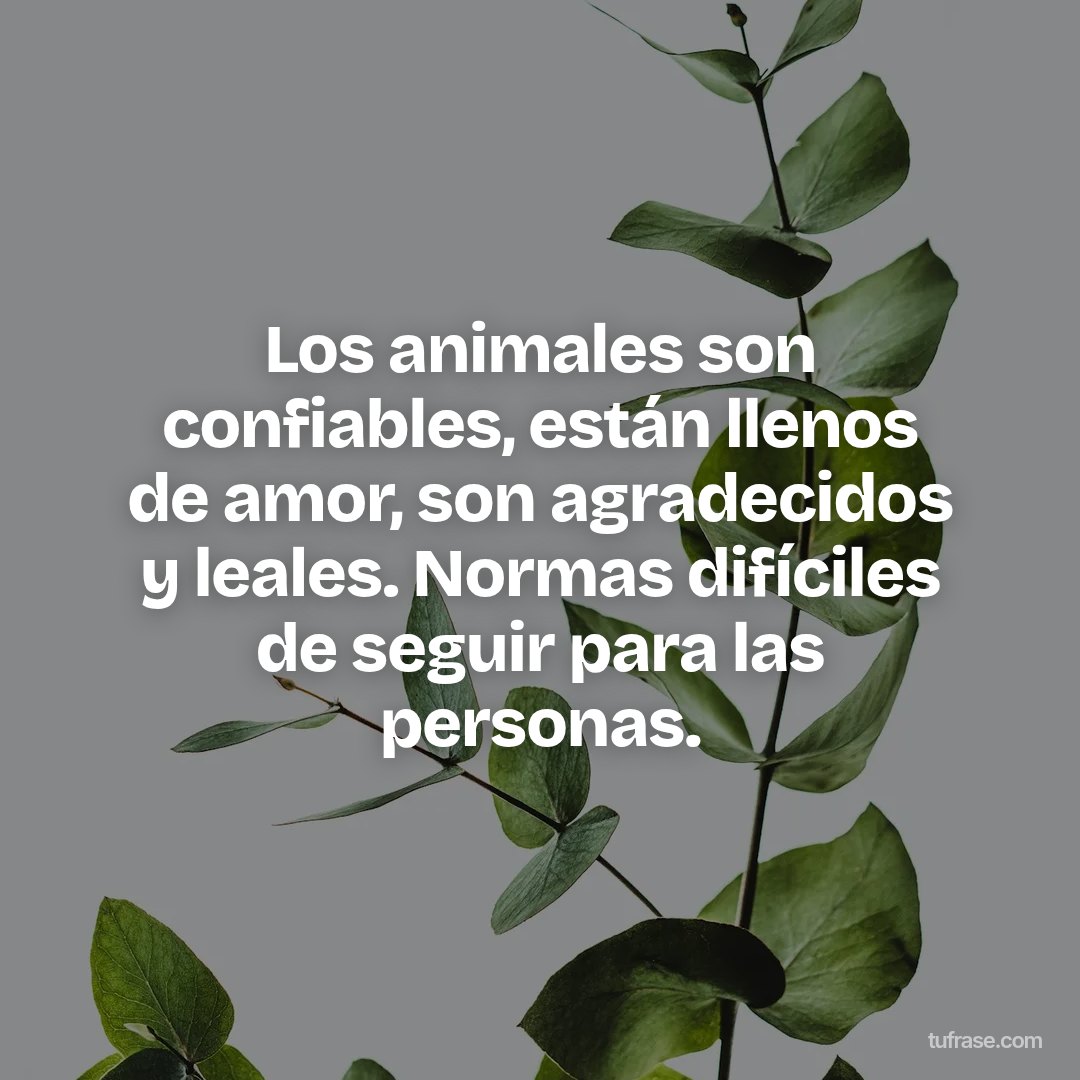 Los animales son confiables, están llenos de amor, son agradecidos y leales. Normas difíciles de seguir para las personas.
