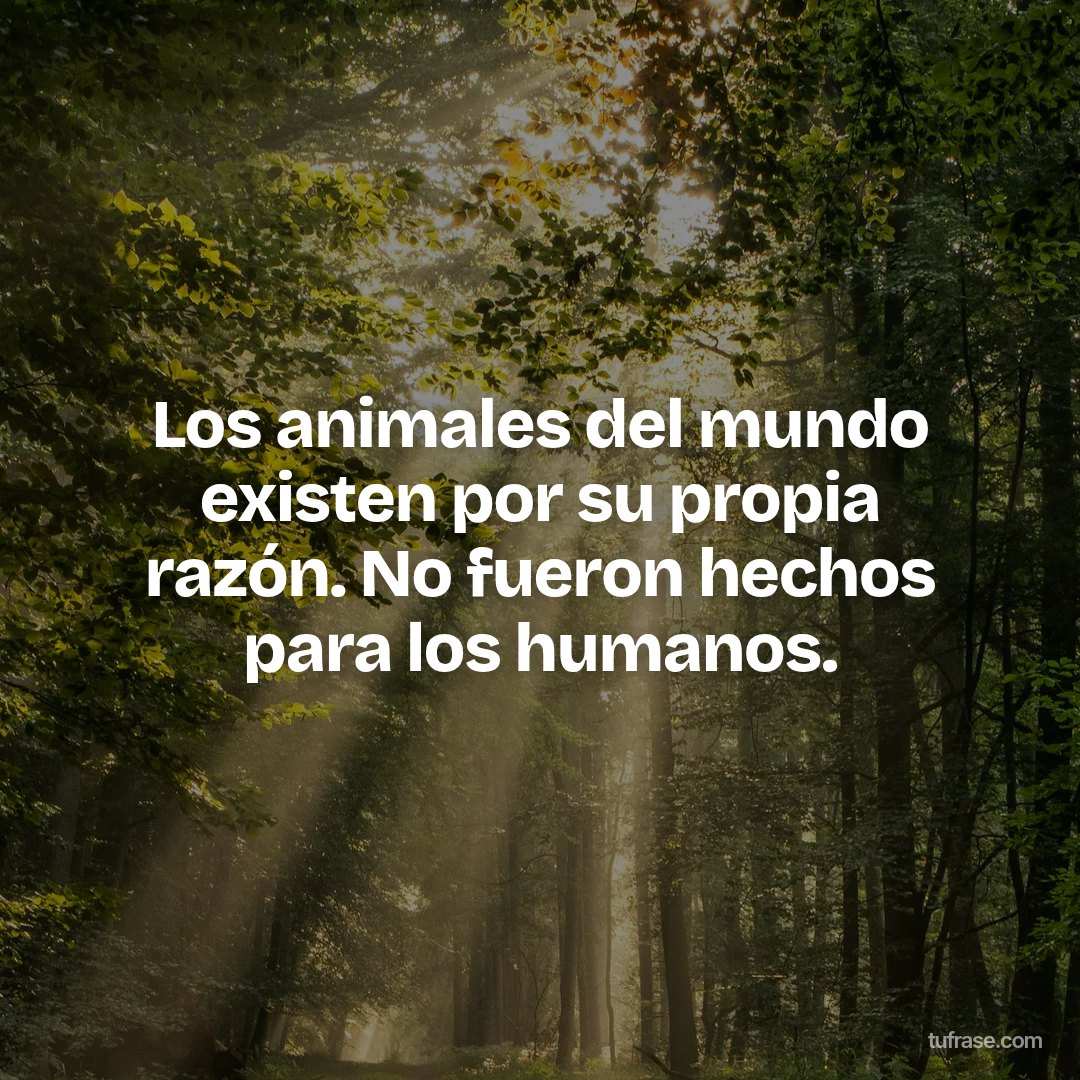 Los animales del mundo existen por su propia razón. No fueron hechos para los humanos.