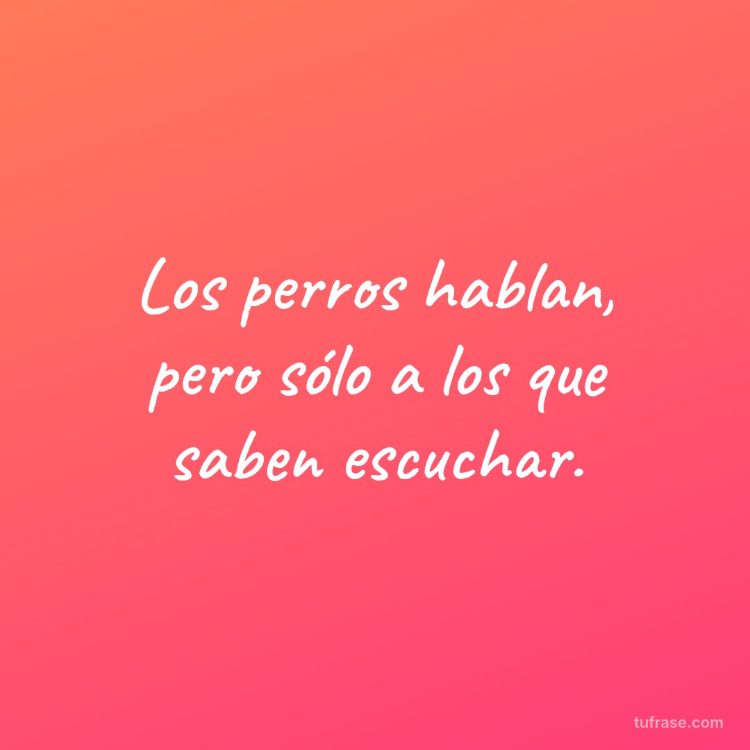Los perros hablan, pero sólo a los que saben escuchar.