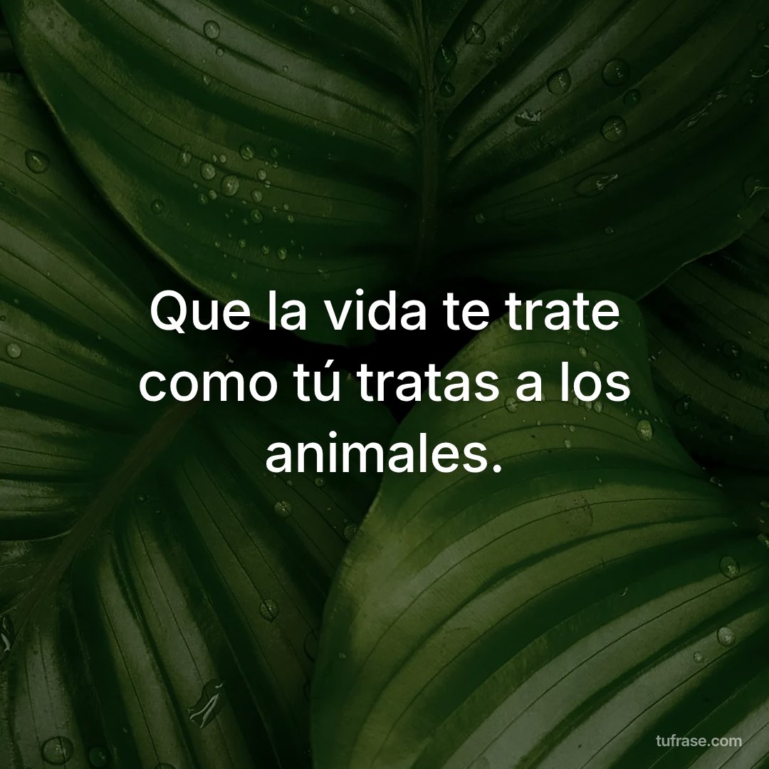 Que la vida te trate como tú tratas a los animales.