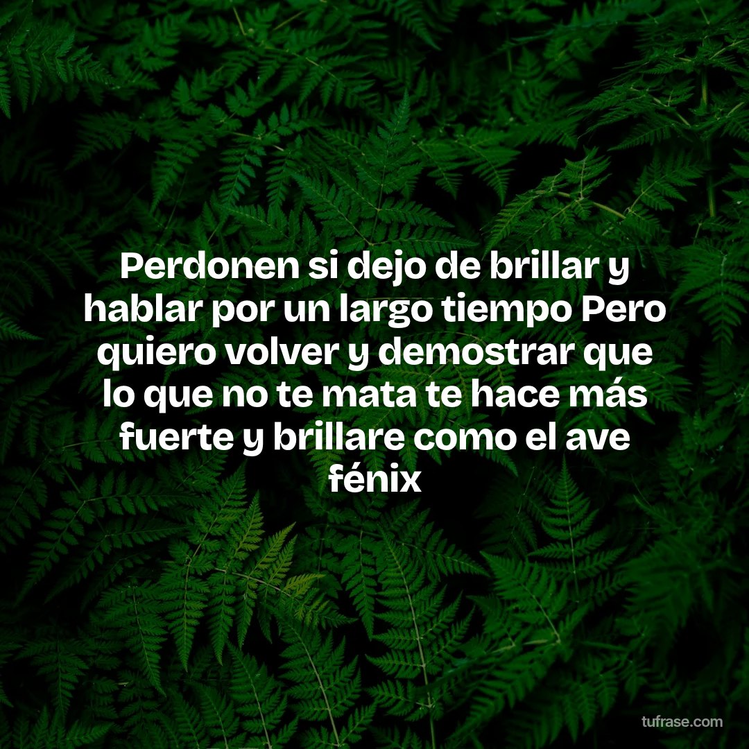 Perdonen si dejo de brillar y hablar por un largo tiempo Pero quiero volver y demostrar que lo que no te mata te hace más fuerte y brillare como el ave fénix