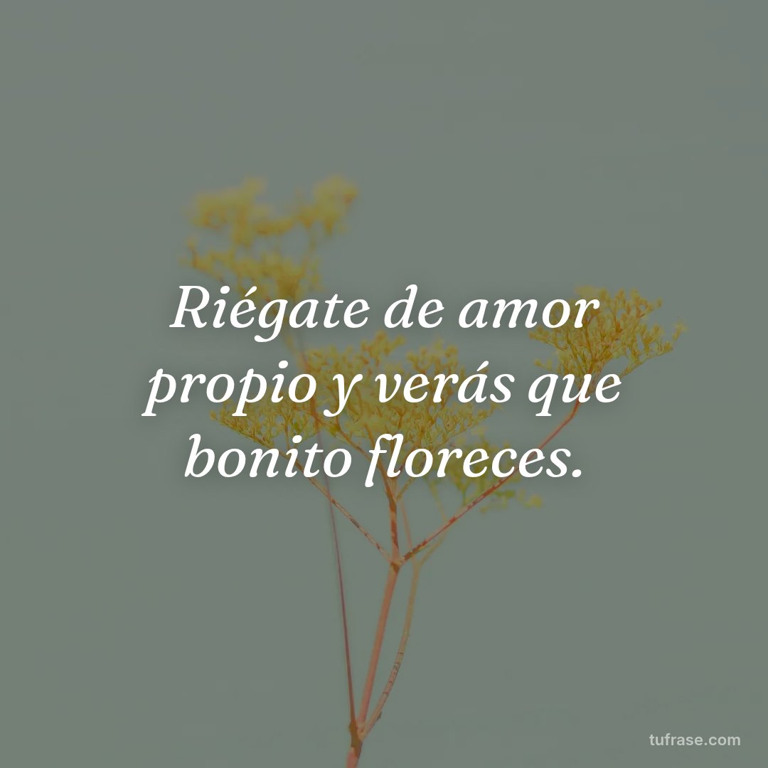 Riégate de amor propio y verás que bonito floreces.
