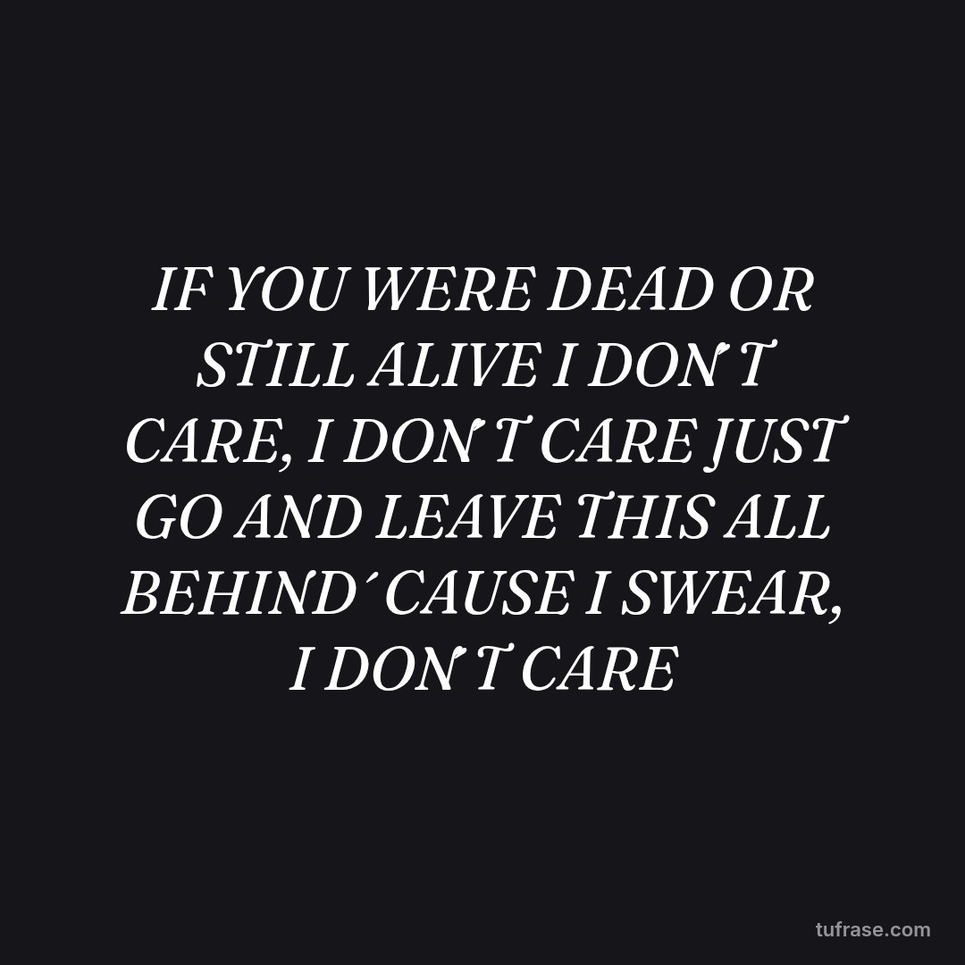 IF YOU WERE DEAD OR STILL ALIVE I DON´T CARE, I DON´T CARE JUST GO AND LEAVE THIS ALL BEHIND ´CAUSE I SWEAR, I DON´T CARE