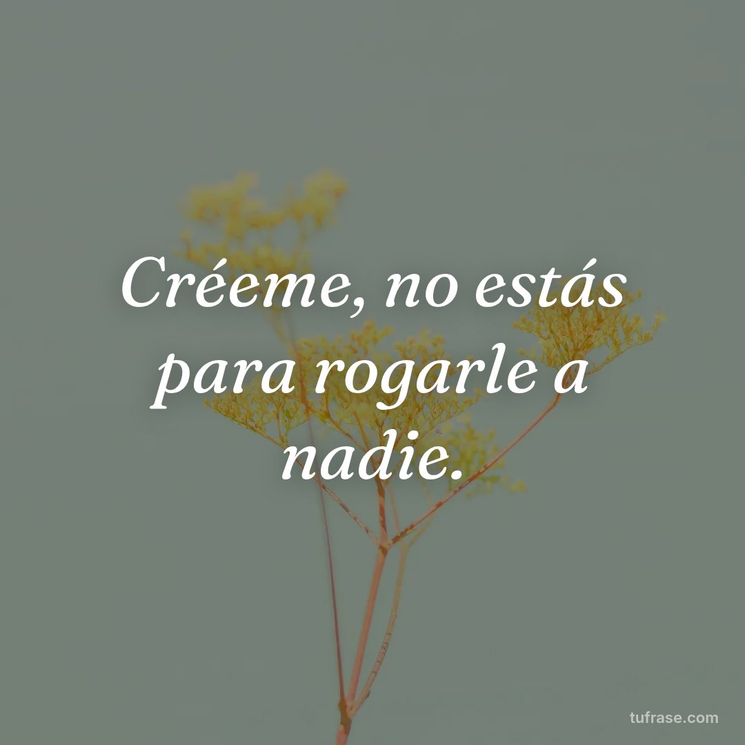 Créeme, no estás para rogarle a nadie.