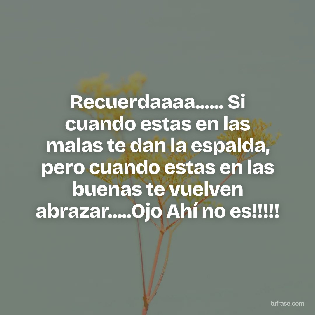 Recuerdaaaa...... Si cuando estas en las malas te dan la espalda, pero cuando estas en las buenas te vuelven abrazar.....Ojo Ahí no es!!!!!